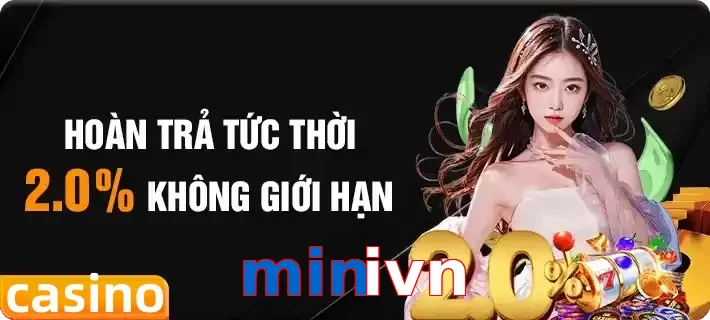 minivn